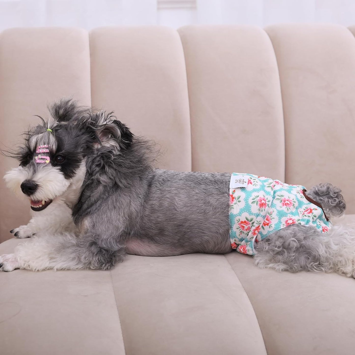 Dog Diapers Female Washable Small Medium Large 3 Pack Reusable Doggie Diapers Puppy Period Pants for Doggy Heat Cycle Peeing D14XS