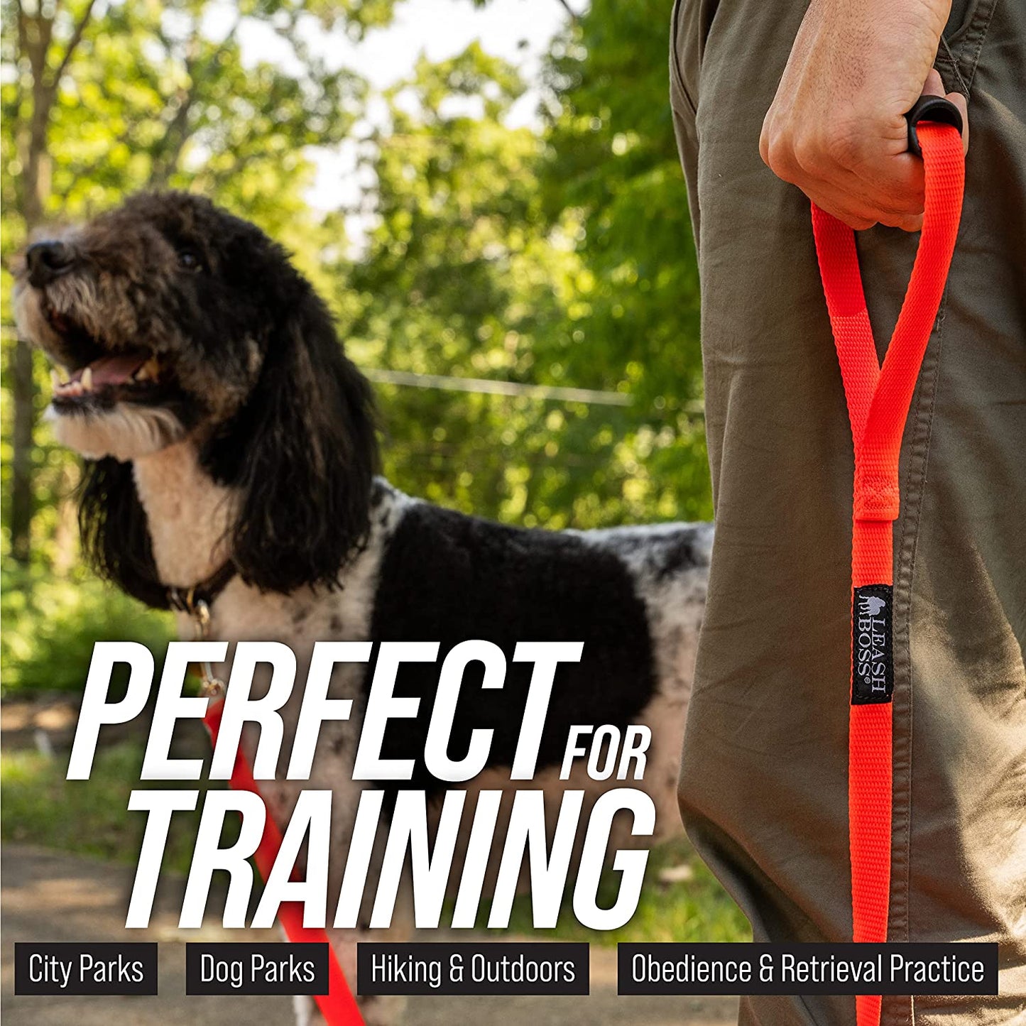 Free Range - Long Dog Leash for Large Dogs + Drawstring Backpack - 1 Inch Nylon Training Lead with Padded Handle (Black) (50 Ft)