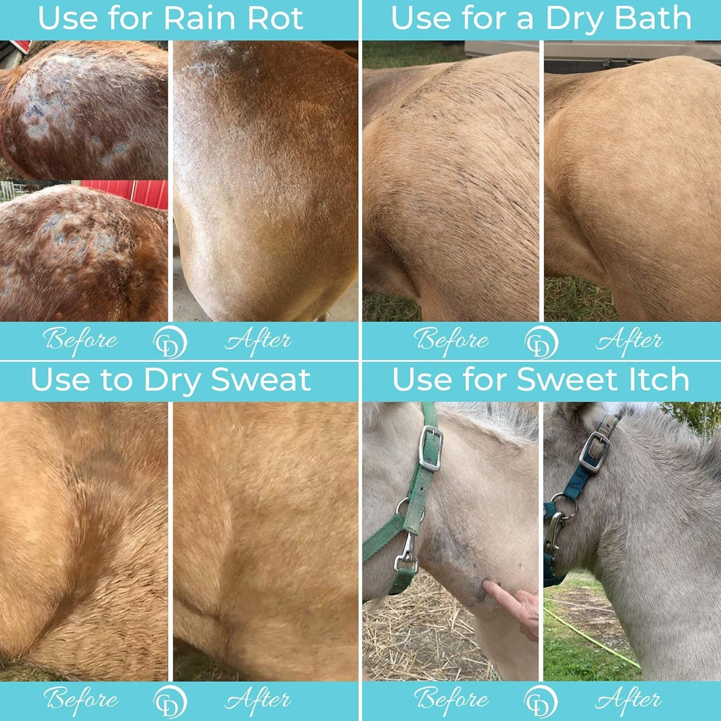 Daily Grooming Powder for Horses | Dry Shampoo with Natural Ingredients | 64 Oz Formula for Fresh, Healthy-Looking Coat