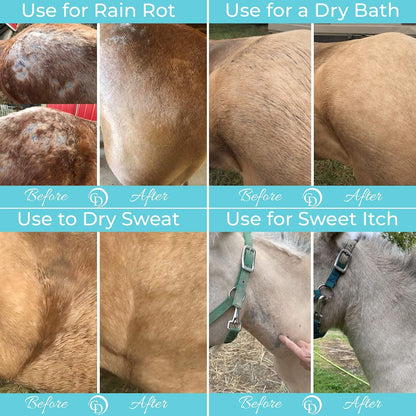 Daily Grooming Powder for Horses | Dry Shampoo with Natural Ingredients | 64 Oz Formula for Fresh, Healthy-Looking Coat