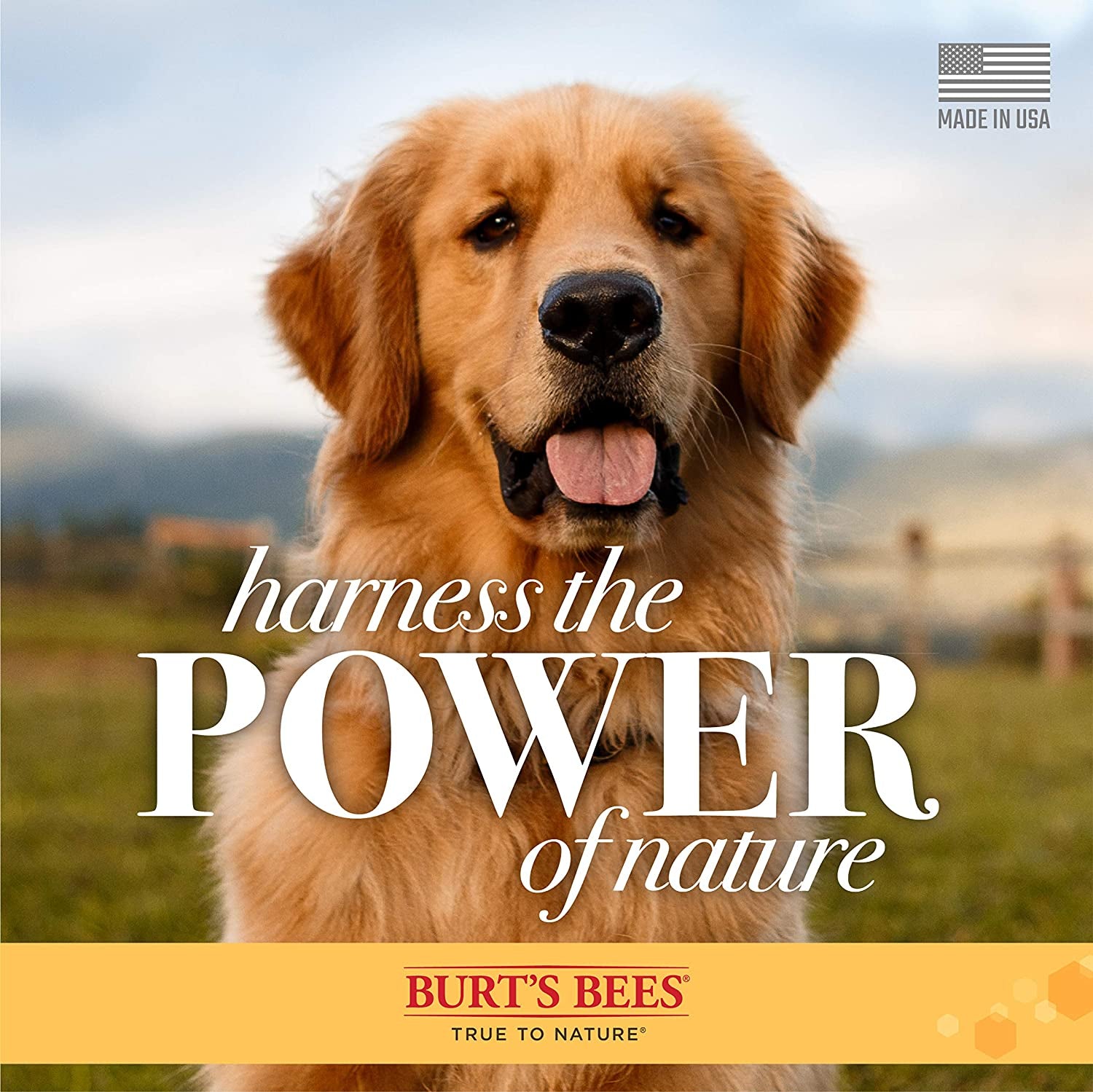 Multipurpose Dog Wipes with Honey, 98% Natural Origin Formulas, Hypoallergenic Dogs Wipe, Canine Cleaning Sheets for Paws and Butt, 3 Pk, 50Ct