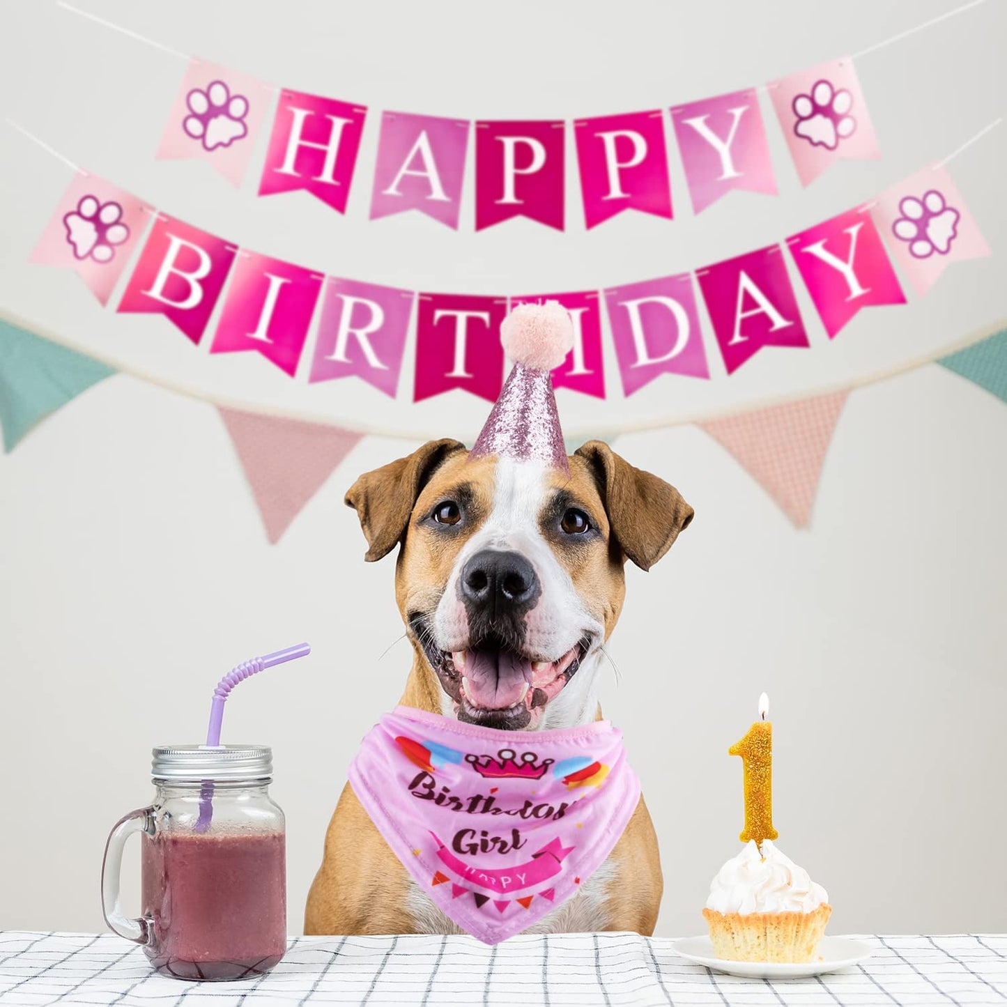 Dog Birthday Party Supplies Bandana Hat Banner Set Boy Girl Cute Bow Tie Scarf Birthday Decorations (Pink，Dog Girl)