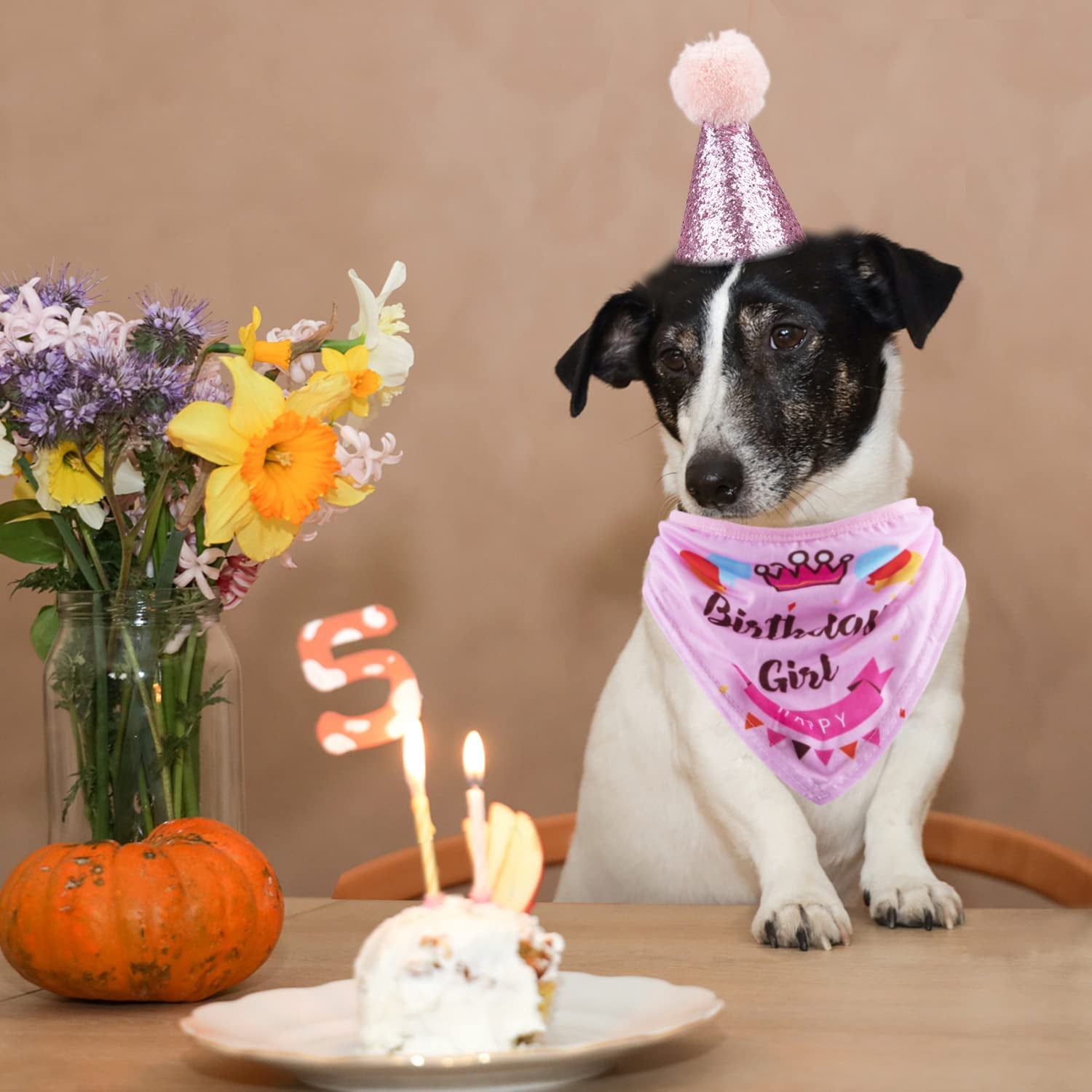 Dog Birthday Party Supplies Bandana Hat Banner Set Boy Girl Cute Bow Tie Scarf Birthday Decorations (Pink，Dog Girl)