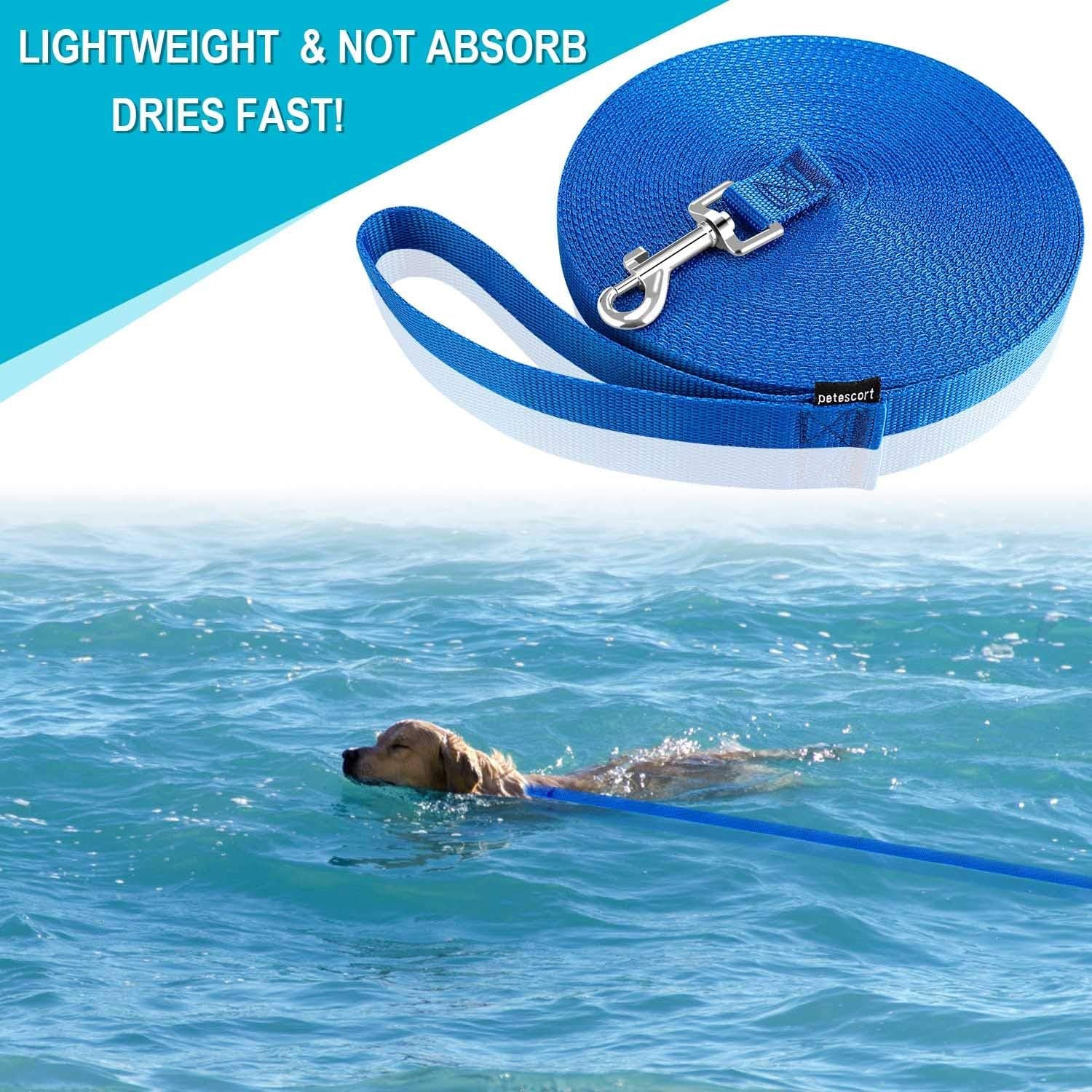 Dog Leash for Small Medium Large Dogs,Long Dog Leashes for Obedience Recall Training,Camping,20Ft,Blue