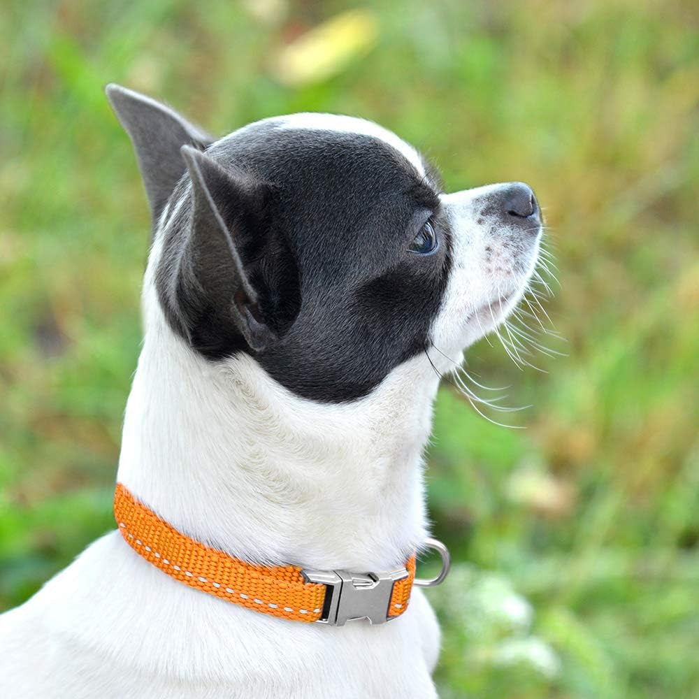 Reflective Dog Collar for a Small, Medium, Large Dog or Puppy with a Quick Release Buckle - Boy and Girl - Nylon Suitable for Swimming (7-11 Inch, Black)