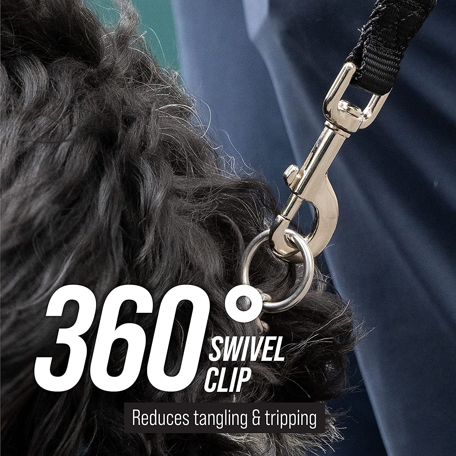 Free Range - Long Dog Leash for Large Dogs + Drawstring Backpack - 1 Inch Nylon Training Lead with Padded Handle (Black) (50 Ft)