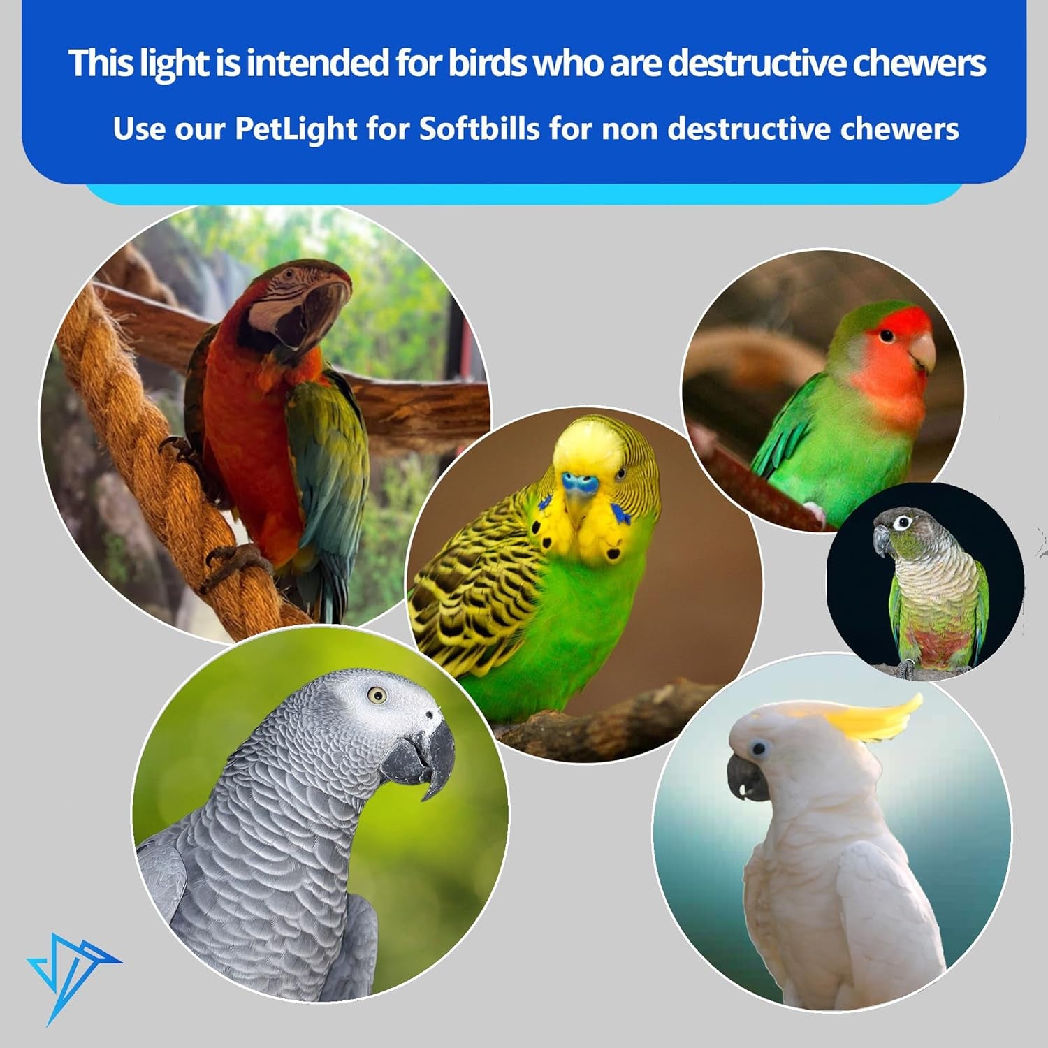 Happybird Lighting Company - Bird Cage Light with Chew Guard for Parrots - Full Spectrum LED Pet Lamp - Simulates Natural Environment (60 Cm Parrot Light)