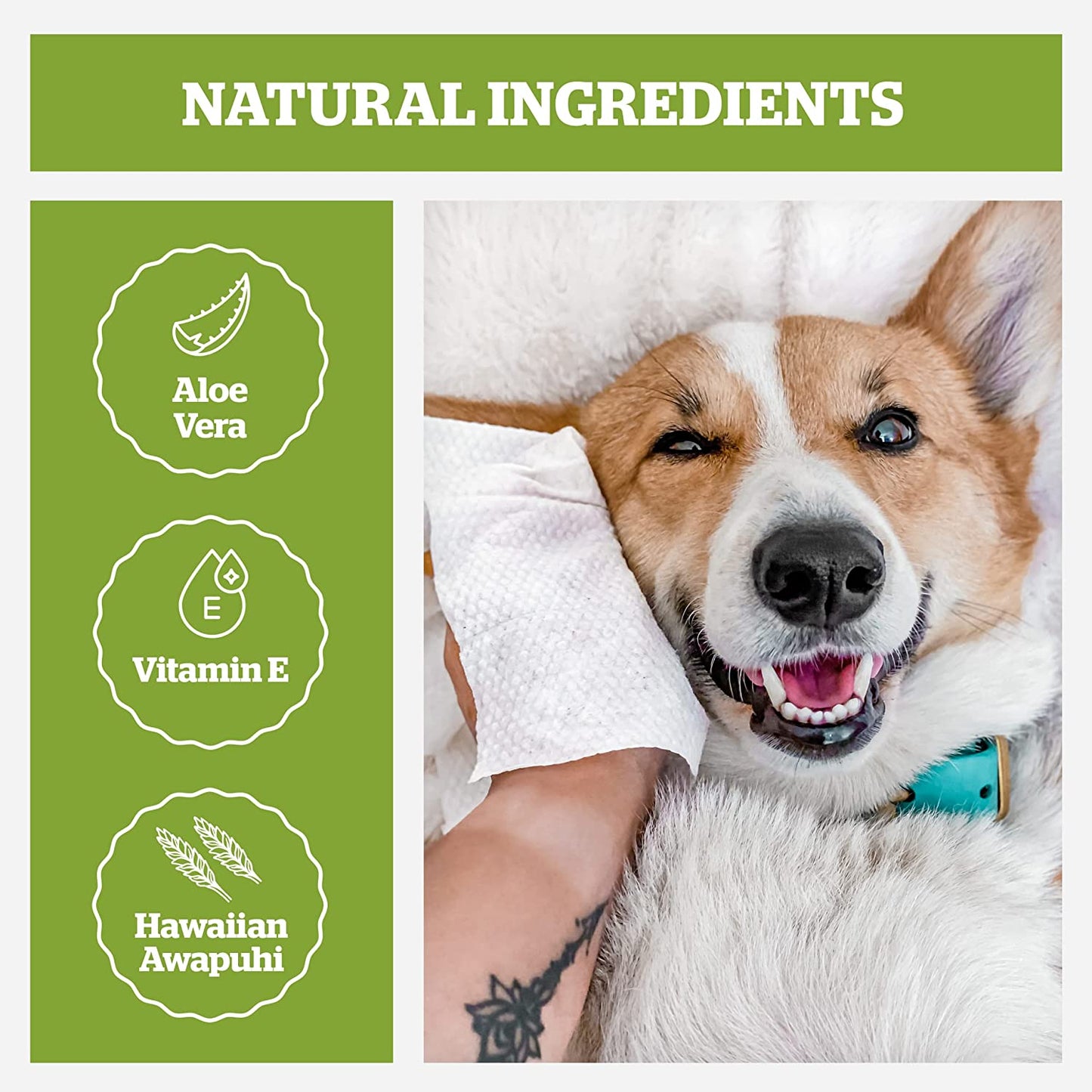 Pogi’S Dog Wipes Travel Packs – Hypoallergenic Pet Wipes for Paws, Body & Butt – Cleaning & Hydrating, Green Tea Scent, 240-Count