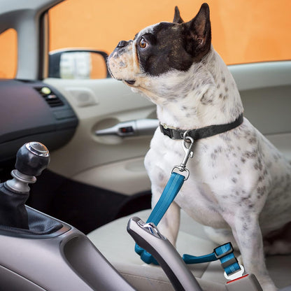 Adjustible Car Harness | Seat Belt for Pets with Elastic Bungee Buffer | Essential Travel Accessories | Dog Leash Safety Restraint | Elastic (Blue)