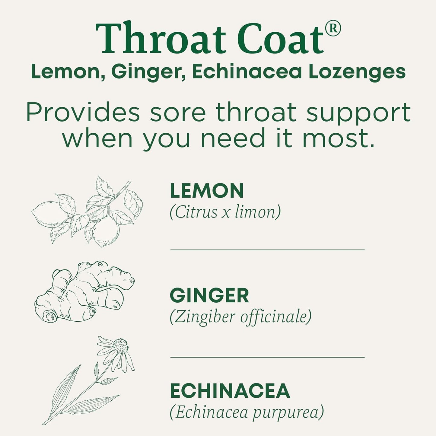 Lozenges, Organic Throat Coat Lemon Ginger Echinacea, Sore Throat Support, 16 Individually Wrapped Lozenges