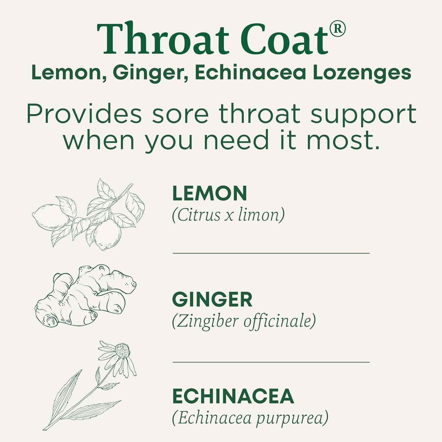 Lozenges, Organic Throat Coat Lemon Ginger Echinacea, Sore Throat Support, 16 Individually Wrapped Lozenges